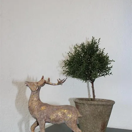 Kapfblick Apartment *